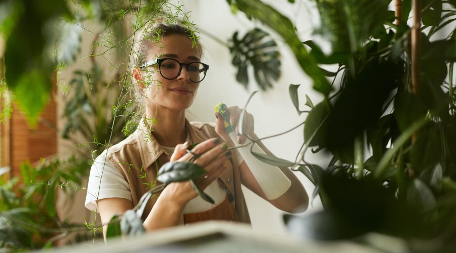 care-of-home-plants.jpg